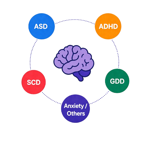 DSM-5 differentiation logic — clinical diagnosis distinguishing autism ASD, ADHD, SCD and GDD in children's developmental assessment
